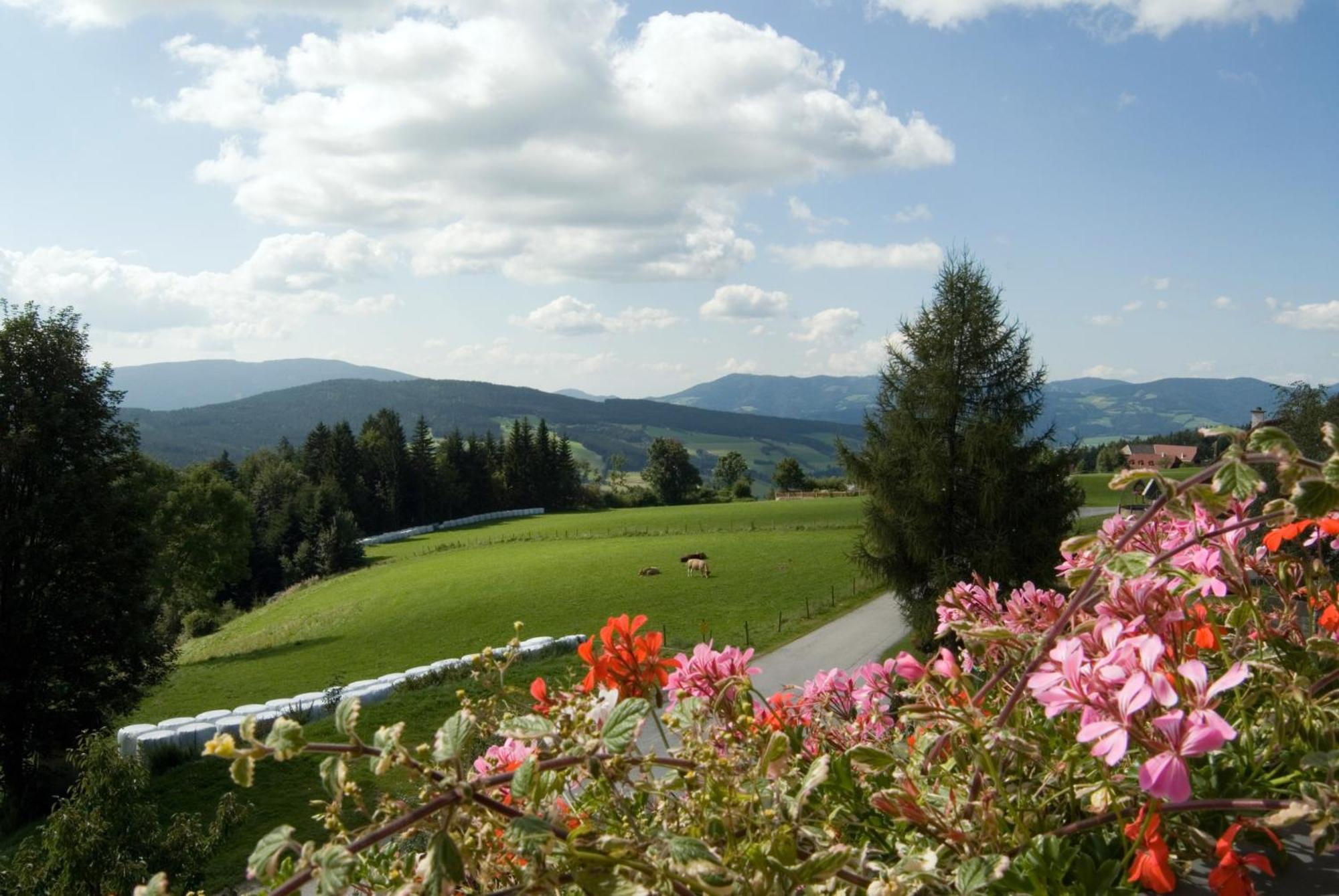 Wildwiesenhof Miesenbach  Екстер'єр фото