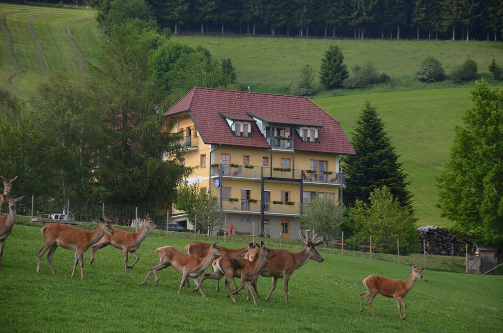 Wildwiesenhof Miesenbach  Екстер'єр фото
